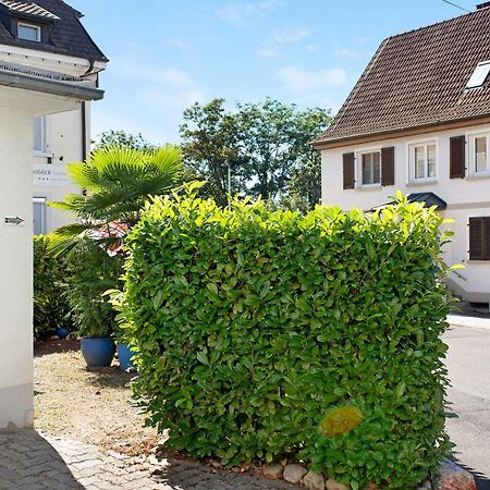 Bluehome Ferienwohnung Bad Bellingen Luaran gambar